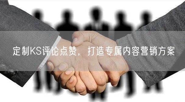 定制KS评论点赞，打造专属内容营销方案