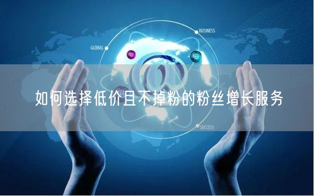 如何选择低价且不掉粉的粉丝增长服务
