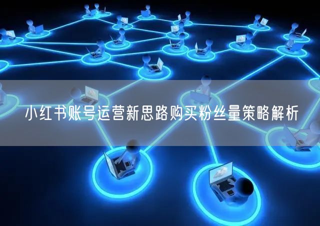小红书账号运营新思路购买粉丝量策略解析