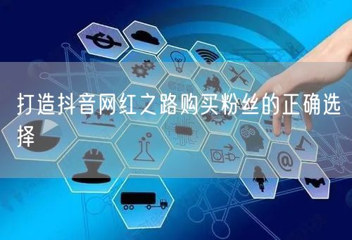 打造抖音网红之路购买粉丝的正确选择