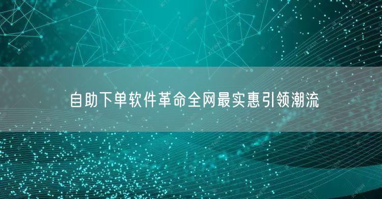 自助下单软件革命全网最实惠引领潮流