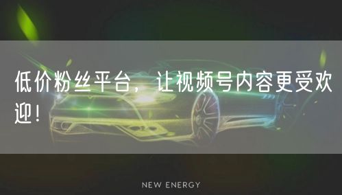 低价粉丝平台，让视频号内容更受欢迎！
