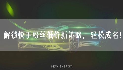 解锁快手粉丝低价新策略，轻松成名！