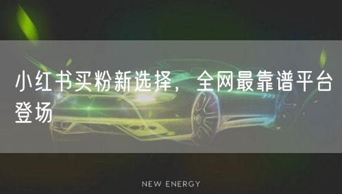 小红书买粉新选择，全网最靠谱平台登场