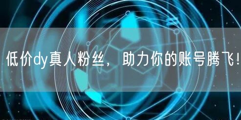 低价dy真人粉丝，助力你的账号腾飞！