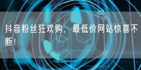 抖音粉丝狂欢购，最低价网站惊喜不断！